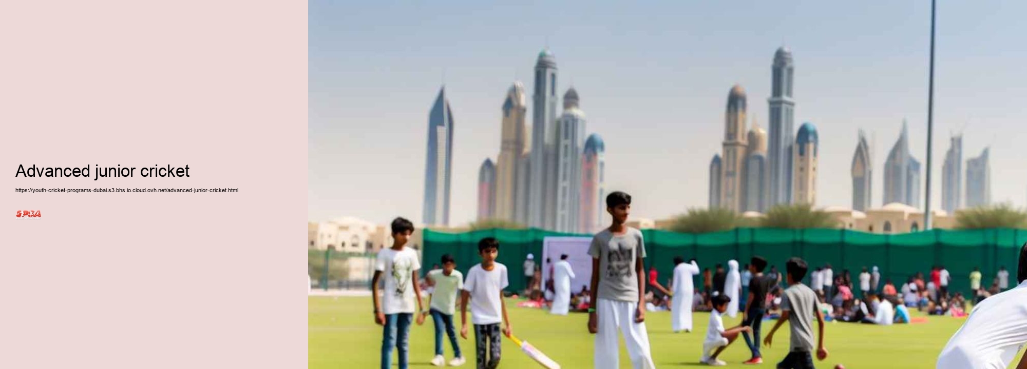 advanced junior cricket