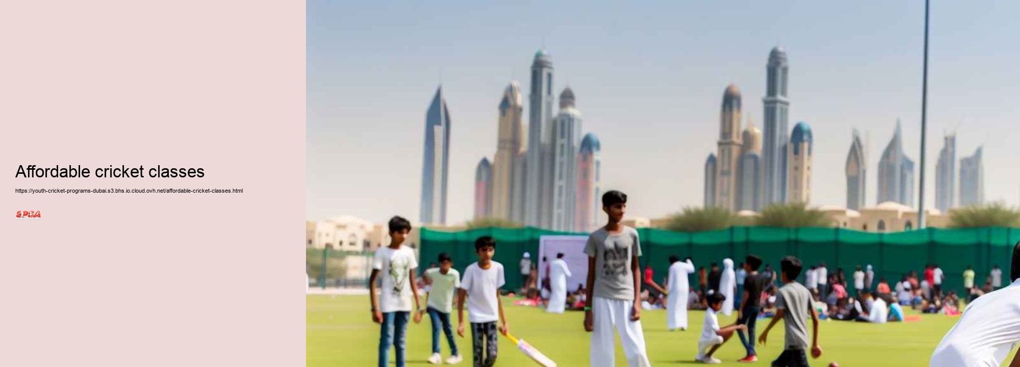 affordable cricket classes