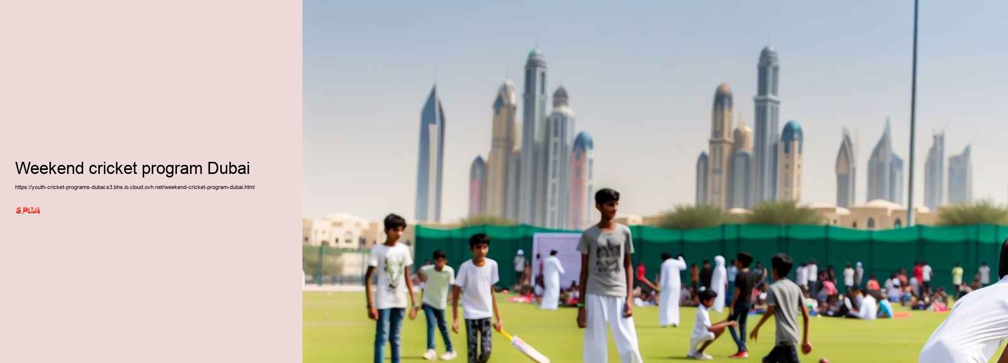 weekend cricket program Dubai